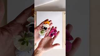 🌺 A DIY Flower Press in Minutes [upl. by Odiug]