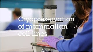 Cryopreservation of mammalian cell lines video protocol [upl. by Ellene]