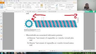 general histology revision  microtubules and epithelium [upl. by Popper]