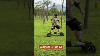 Off road electric skateboard Ecomobl hybrid Telum X5 mountainboardoffroadboard esk8 [upl. by Edmunda]