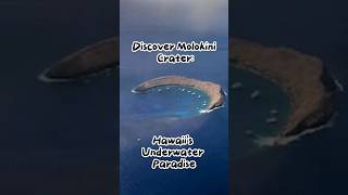 Discover Molokini Crater Hawaiis Underwater Paradise [upl. by Eelame]