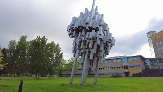 Sweden Umeå walking around the University Ålidhem and the surrounding areas 4K 60fps captions [upl. by Iey75]