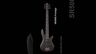 Ibanez Bass Lineup 2024 SR Prestige amp Premium Part1 basicallybassguitar Ibanez Ibanezbass [upl. by Barth]