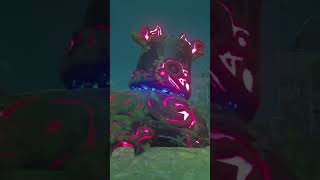 Nintendo Switch The Legend of Zelda Breath of the Wild Gameplay nintendogame zelda [upl. by Arytal699]