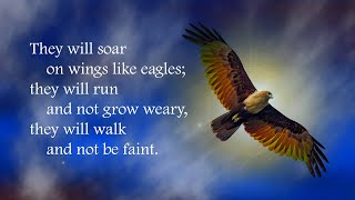 Soar on wings like eagles Isaiah 402831 [upl. by Aseyt]