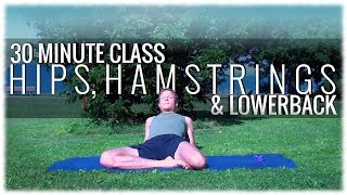 Hatha Yoga with David Procyshyn A 30 Minute Class for Hips Hamstrings and Lower Back [upl. by Anigal]