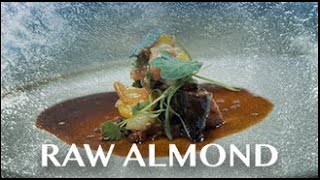 RAW ALMOND  Official Trailer [upl. by Wilfreda]