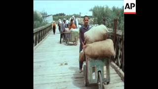 SYND 19031970 REFUGEES FROM JORDAN ARE RUFUSED CROSSING THE ALLENBY BRIDGE INTO ISRAEL [upl. by Vihs]