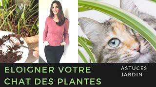 Comment éloigner votre chat des plantes [upl. by Blinny675]