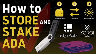 How to STORE amp STAKE Cardano ADA in a Hardware Wallet  Stepbystep Ledger Nano S Beginner Tutorial [upl. by Anaujat]