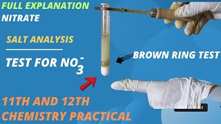 Test for nitrate ion No3  brown ring test  class 11th and 12th Salt analysis saltanalysis [upl. by Kippie]