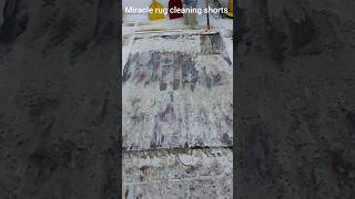 Dirty Rug EXPERT Reveals SHOCKING Deep Cleaning Secrets [upl. by Zarihs]