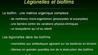 Legionella Bordetella et Pseudomonas [upl. by Hallock]