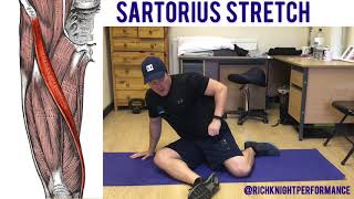 Sartorius Muscle Stretch [upl. by Enyr]