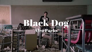 우울한 네 옆에 있어줄게 Arlo Parks  Black Dog 가사해석 [upl. by Gabbi]