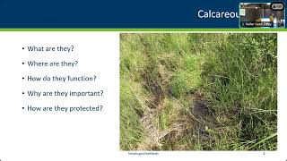 March 2024 Calcareous Fens  Identification Hydrology and Regulation [upl. by Annwahs]