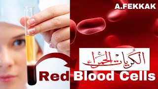 Red Blood Cells Composition of Blood  كريات الدم الحمراء [upl. by Tien]