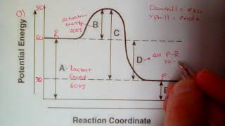 Potential Energy Diagram [upl. by Vilhelmina]