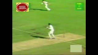 Inzamam ul Haq amp Muhammad Yousaf  High Class Batting  Pakistan vs Australia Brisbane Highlights [upl. by Ednihek808]