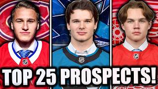 RANKING THE TOP 25 BEST NHL PROSPECTS 2024 [upl. by Aenat603]