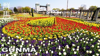 Gunma Flower Park at the Spring in Gunma  Japan walk video  4k flower gunma  Explore Japan [upl. by Ancilin]