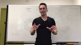 Gram Positive ve vs Gram Negative ve Bacteria [upl. by Emawk3]