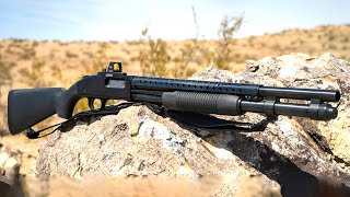 The 10 Best Budget Shotguns Everyone Can Afford [upl. by Aphra529]