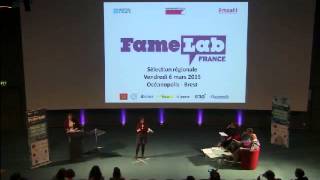 La spéciation par vicariance  Famelab 2015 Brest [upl. by Garap921]