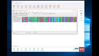 Making a Multiple Sequence Alignment in MEGA [upl. by Branden]