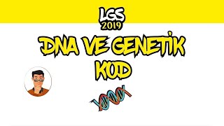 DNA ve Genetik Kod  8 Sınıf [upl. by Cacilia595]