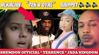 ALKALINE “TEK A GYAL” AUDIO RELEASED ‼️ TERRENCE AFFAIR 🇹🇹 SHEMDON OFFICIAL  JADA KINGDOM amp MORE… [upl. by Carbo]