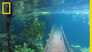 Heavy Rains Submerge Hiking Trails in Crystal Clear Waters  National Geographic [upl. by Occer792]