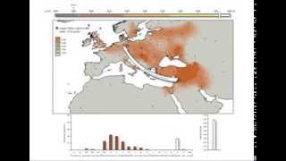 Ancient DNA Reveals Key Stages in the Formation of Central European Mitochondrial Genetic Diversity [upl. by Shellie127]