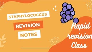 STAPHYLOCOCCUSREVISION OF BACTERIOLOGYMBBSDAYS205 [upl. by Lundell]