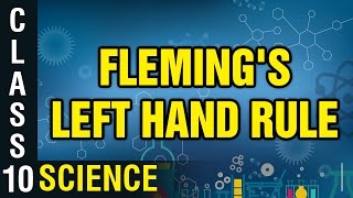 Flemings left hand rule  Class 10 Physics  Science  Digital Teacher [upl. by Nyer]