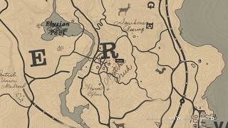 RDR 2 Where to find 10 Moccasin Flower Orchids Part of the Exotics Quest [upl. by Rebmyk497]