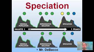 Speciation [upl. by Avivah]