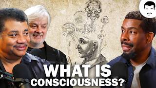 David Chalmers Discusses the Hard Problem of Consciousness [upl. by Liatris775]