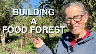 Swale Food Forest  Tour Maintenance and Planting  Permaculture Design [upl. by Lledniw552]