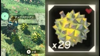 【マックスドリアンの入手場所 7か所】 攻略 ゼルダの伝説 ブレスオブザワイルド quotHearty Durian Locationsquot BOTW [upl. by Herzen]