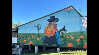 Barambah Bush Camp amp Goomeri Pumpkin Festival [upl. by Elenore452]