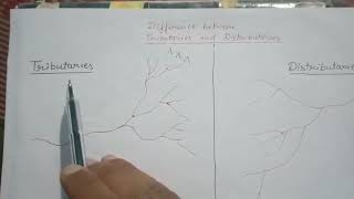 Difference bw tributaries and distributaries [upl. by Glenine]