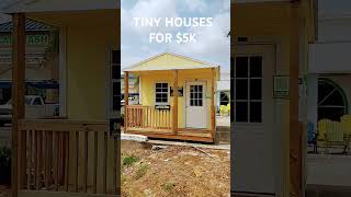 Modern Shed Tiny House for 5k in Florida diy tinyhouse construction trending [upl. by Naval616]