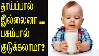 பசும்பால் கொடுக்கலாமா IS COWS MILK SAFE FOR A BABY [upl. by Cerellia]