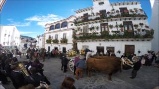 Romería Canillas de Albaida 2017 [upl. by Autry181]