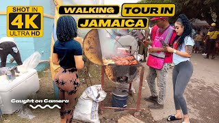 ✔️Walking Tour DENBIGH AGRICULTURAL SHOW 2023 Largest Agricultural Expositions In The Caribbean 4K [upl. by Nireil]