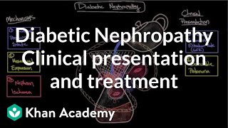 Diabetic nephropathy  Clinical presentation amp treatment  NCLEXRN  Khan Academy [upl. by Winna566]