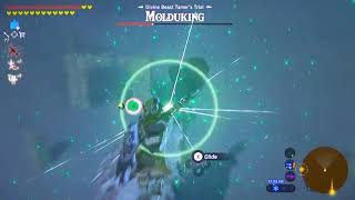 BotW171b  BEST How To Kill MolduKing amp Big Or Small Keive Tala Shrine DLC2 Champion Urbosas Song [upl. by Arakihc]