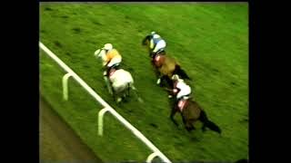 2002 Grimthorpe Handicap Chase [upl. by Naened]