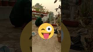 Construction aur mera Garden🏡 gardening terracegarden flowers plants gardening gardendecor [upl. by Locklin]